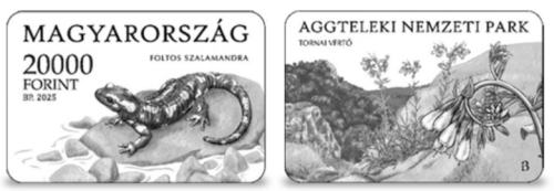 2025. Aggteleki Nemzeti Park - ezüst érme
